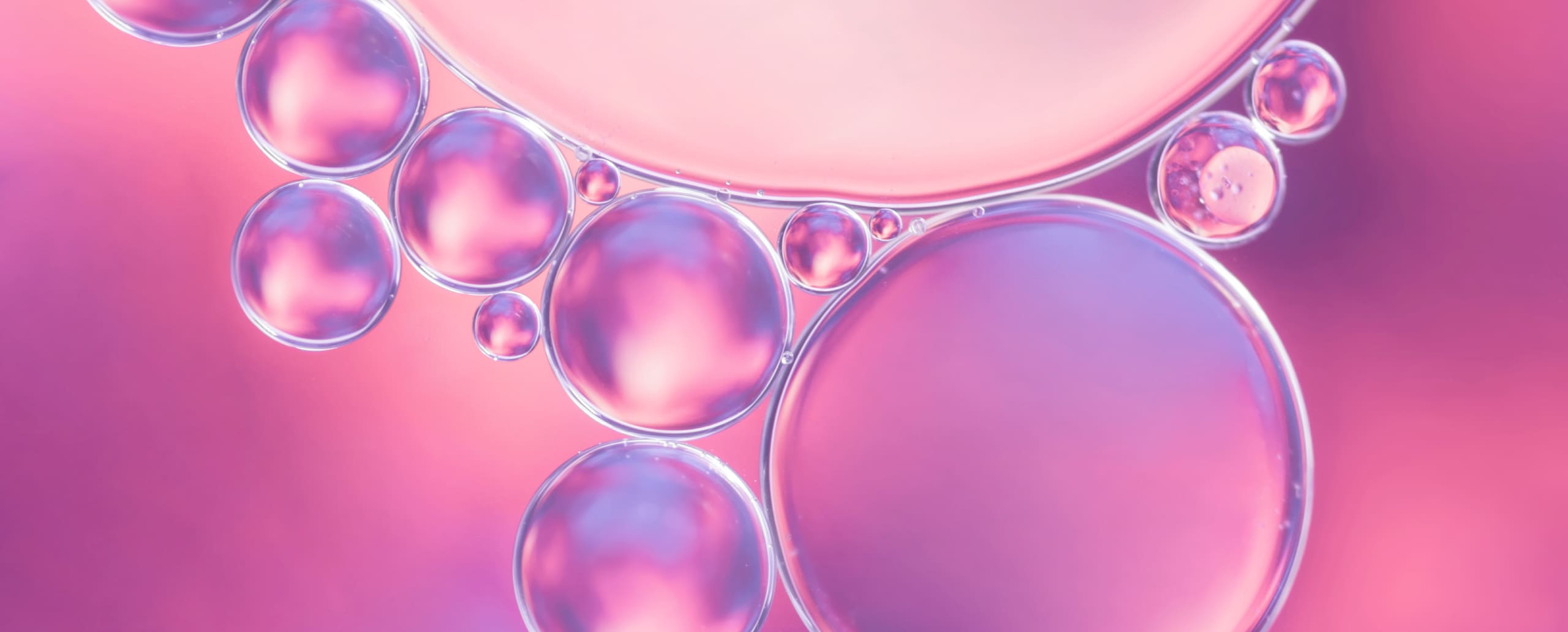 Progesterone bioidentico